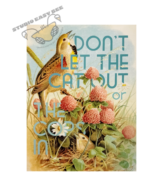 Don’t Let the Cat Out